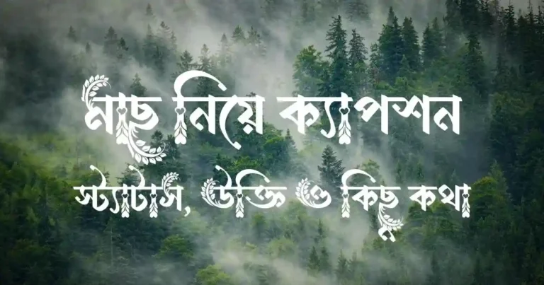 মাছ নিয়ে ক্যাপশন, স্ট্যাটাস, উক্তি ও কিছু কথা