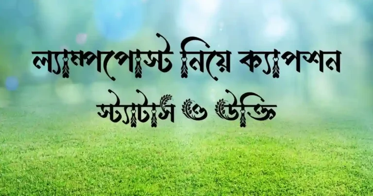 ল্যাম্পপোস্ট নিয়ে ক্যাপশন, স্ট্যাটাস ও উক্তি