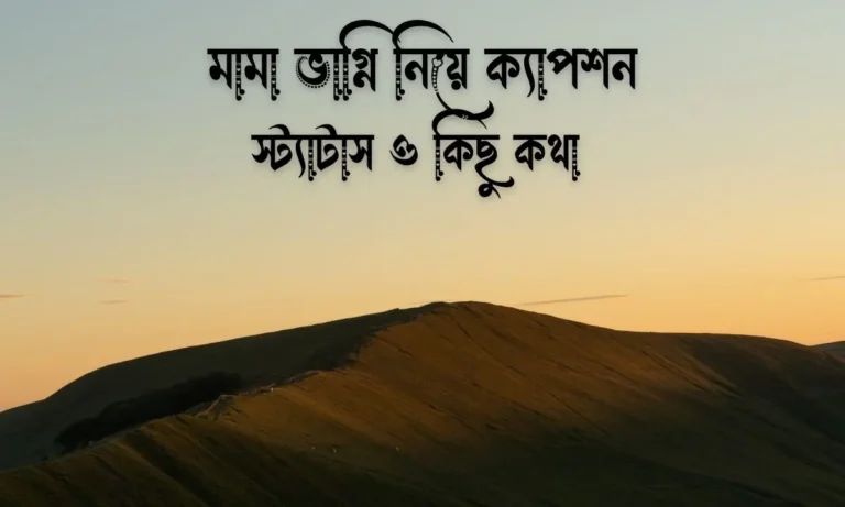 ৩০ টি মামা ভাগ্নি নিয়ে ক্যাপশন, স্ট্যাটাস ও কিছু কথা (1)