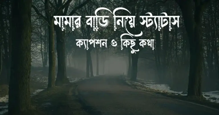 ৪০+ মামার বাড়ি নিয়ে স্ট্যাটাস, ক্যাপশন ও কিছু কথা