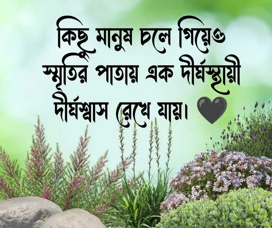 কষ্টের স্ট্যাটাস