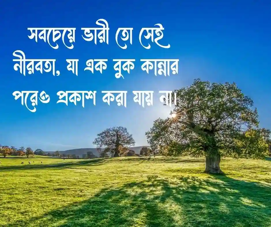 চাপা কষ্টের স্ট্যাটাস