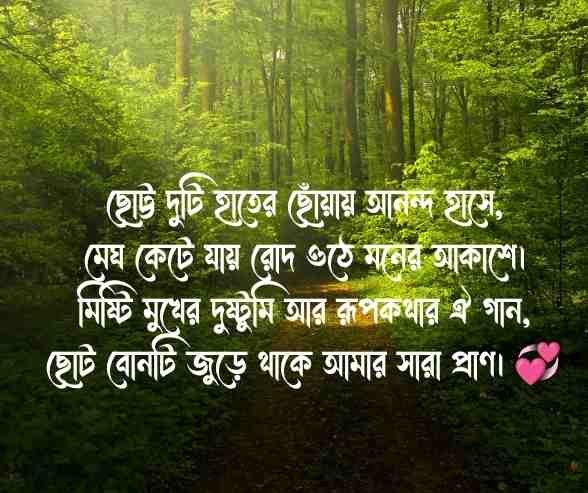 ছোট বোন নিয়ে কবিতা