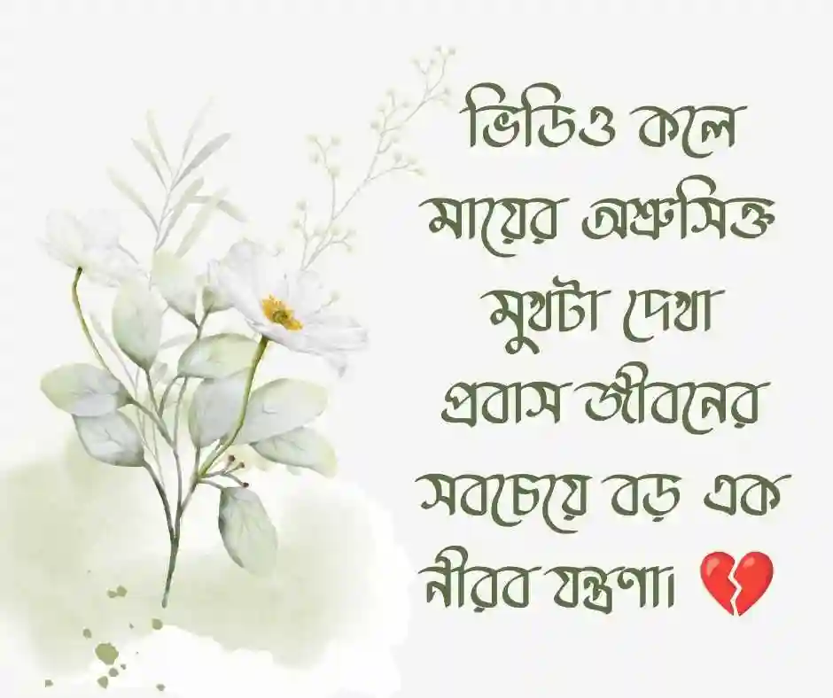 প্রবাসীদের কষ্টের স্ট্যাটাস