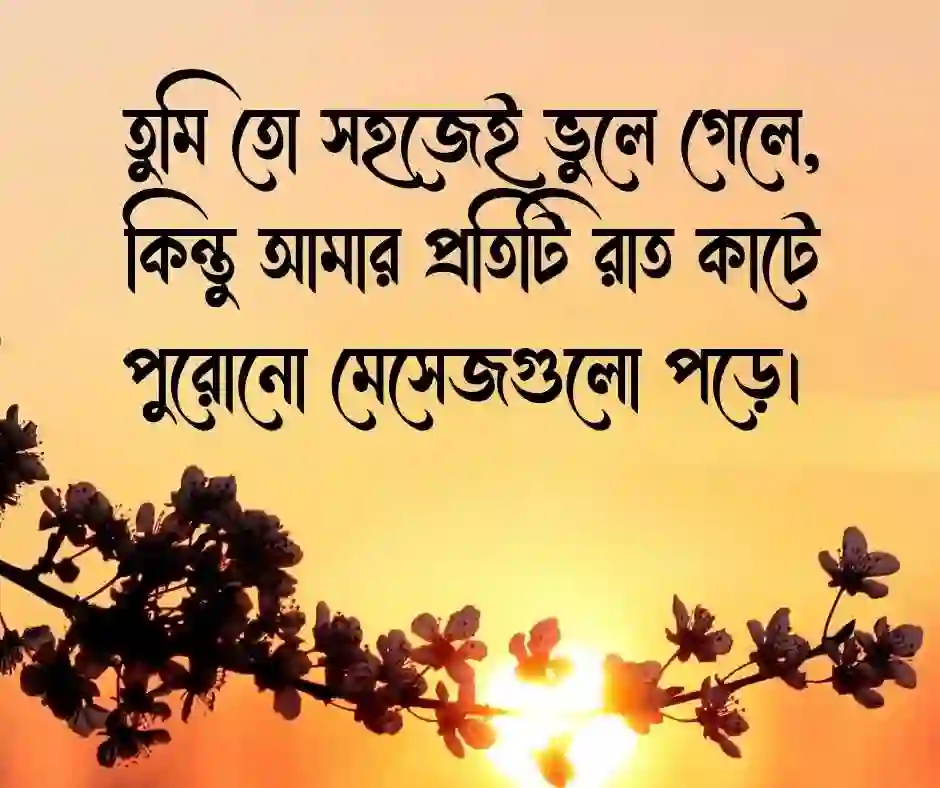 ভালোবাসার কষ্টের স্ট্যাটাস