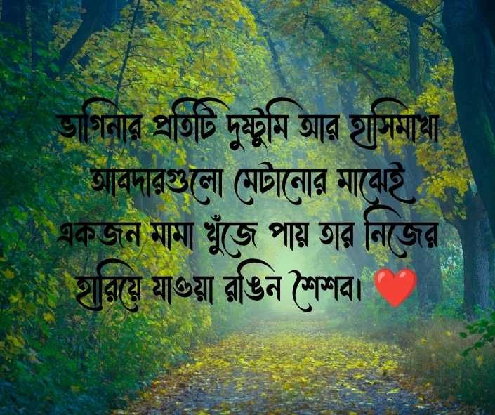মামা ভাগিনা নিয়ে ক্যাপশন 