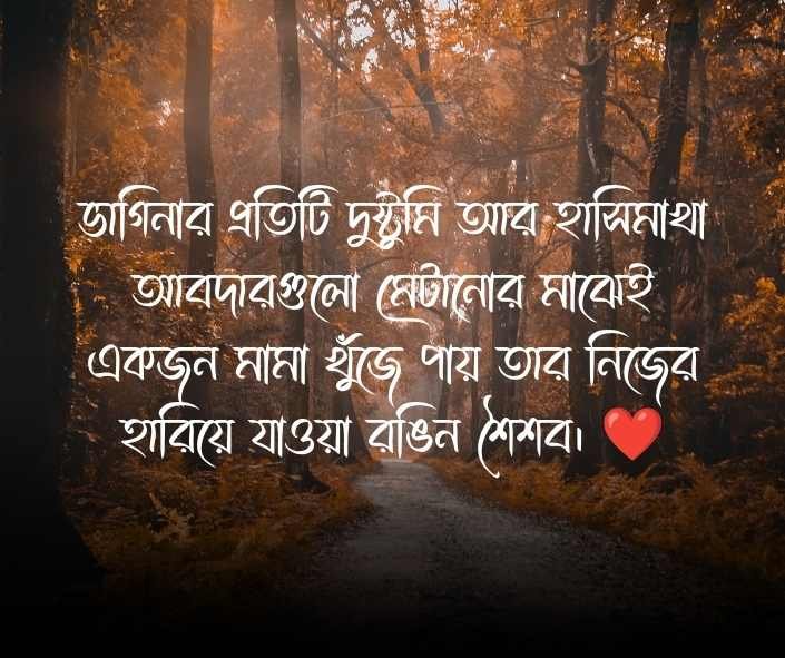 মামা ভাগিনা স্ট্যাটাস (1)