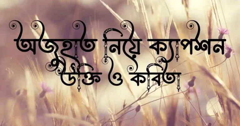অজুহাত নিয়ে ক্যাপশন, উক্তি ও কবিতা
