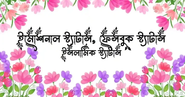 ইমোশনাল স্ট্যাটাস, ফেসবুক স্ট্যাটাস ও ইসলামিক স্ট্যাটাস