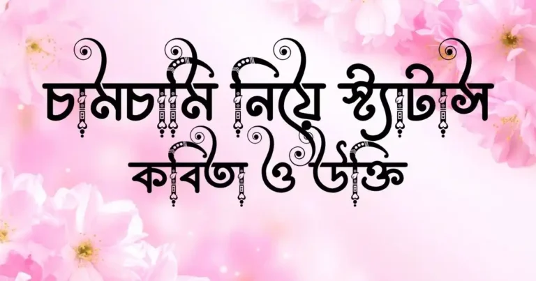 চামচামি নিয়ে স্ট্যাটাস, কবিতা ও উক্তি