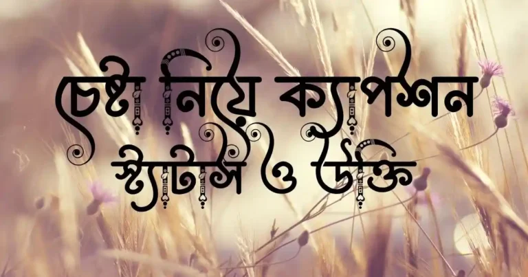 চেষ্টা নিয়ে ক্যাপশন, স্ট্যাটাস ও উক্তি