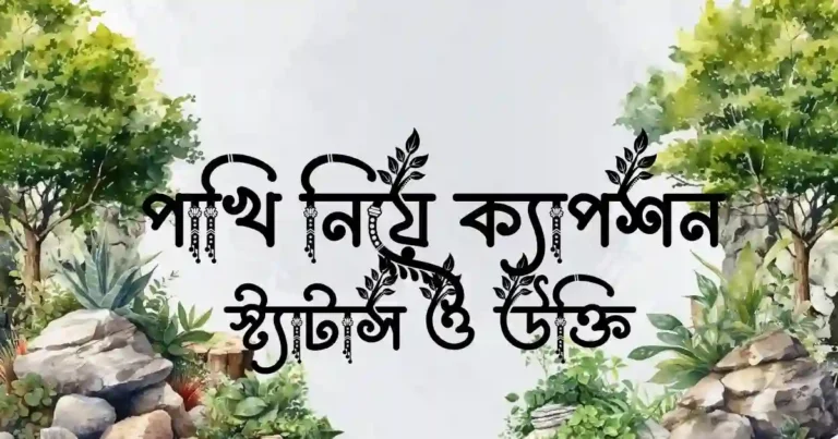পাখি নিয়ে ক্যাপশন, স্ট্যাটাস ও উক্তি