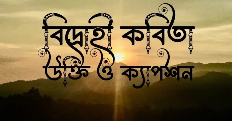 বিদ্রোহী কবিতা, উক্তি ও ক্যাপশন