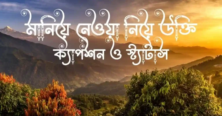 মানিয়ে নেওয়া নিয়ে উক্তি, ক্যাপশন ও স্ট্যাটাস