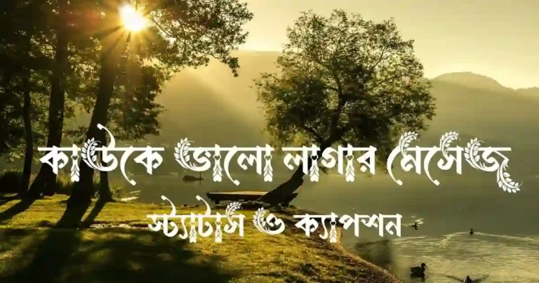 কাউকে ভালো লাগার মেসেজ, স্ট্যাটাস ও ক্যাপশন