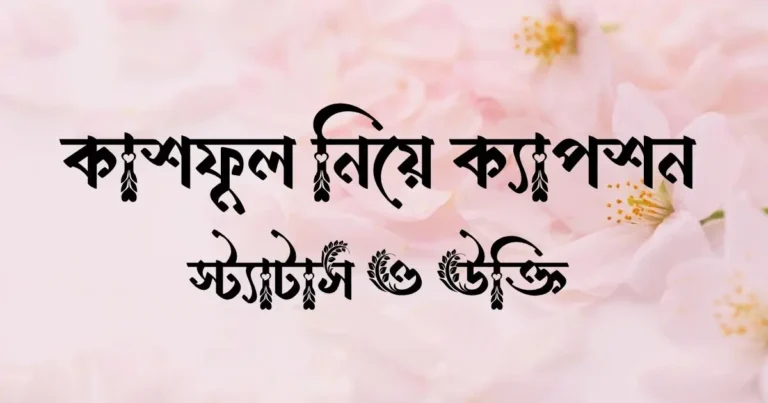 কাশফুল নিয়ে ক্যাপশন, স্ট্যাটাস ও উক্তি