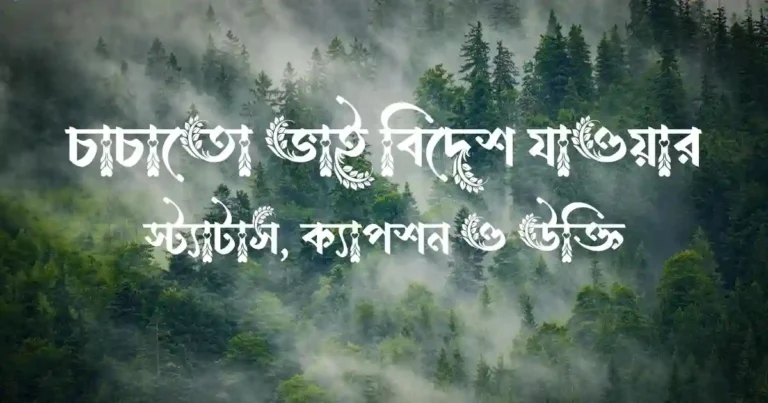 চাচাতো ভাই বিদেশ যাওয়ার স্ট্যাটাস, ক্যাপশন ও উক্তি