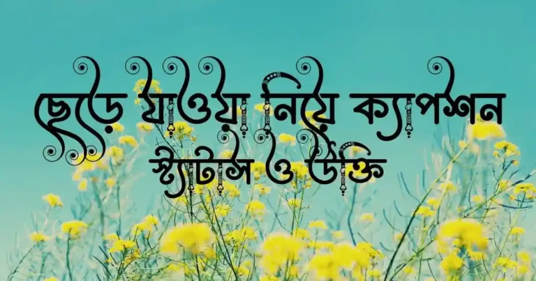 ছেড়ে যাওয়া নিয়ে ক্যাপশন, স্ট্যাটাস ও উক্তি