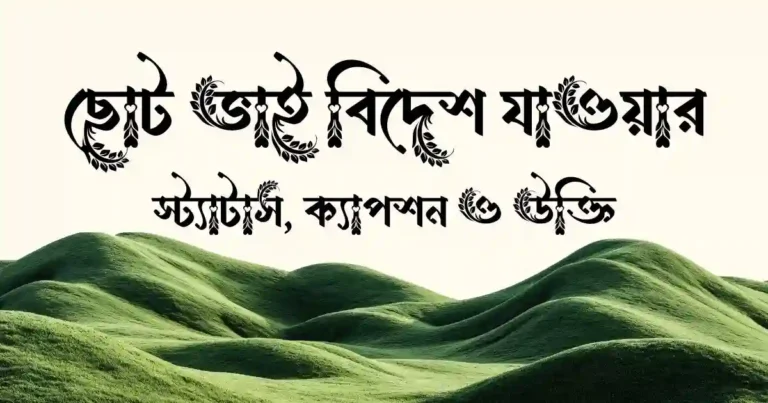 ছোট ভাই বিদেশ যাওয়ার স্ট্যাটাস, ক্যাপশন ও উক্তি