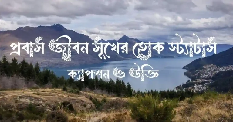 প্রবাস জীবন সুখের হোক স্ট্যাটাস, ক্যাপশন ও উক্তি