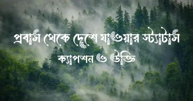 প্রবাস থেকে দেশে যাওয়ার স্ট্যাটাস, ক্যাপশন ও উক্তি
