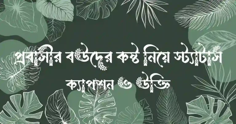 প্রবাসীর বউদের কষ্ট নিয়ে স্ট্যাটাস, ক্যাপশন ও উক্তি