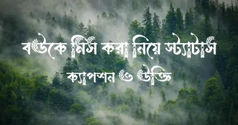 বউকে মিস করা নিয়ে স্ট্যাটাস, ক্যাপশন ও উক্তি