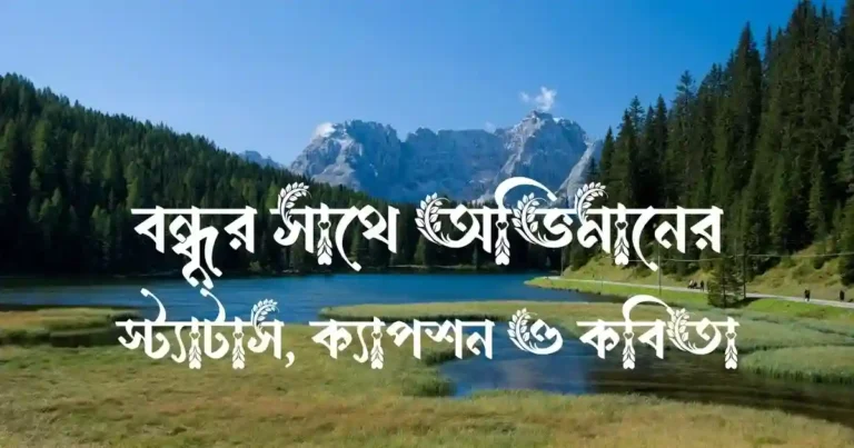 বন্ধুর সাথে অভিমানের স্ট্যাটাস, ক্যাপশন ও কবিতা
