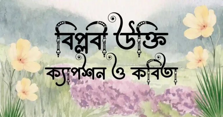 বিপ্লবী উক্তি, ক্যাপশন ও কবিতা