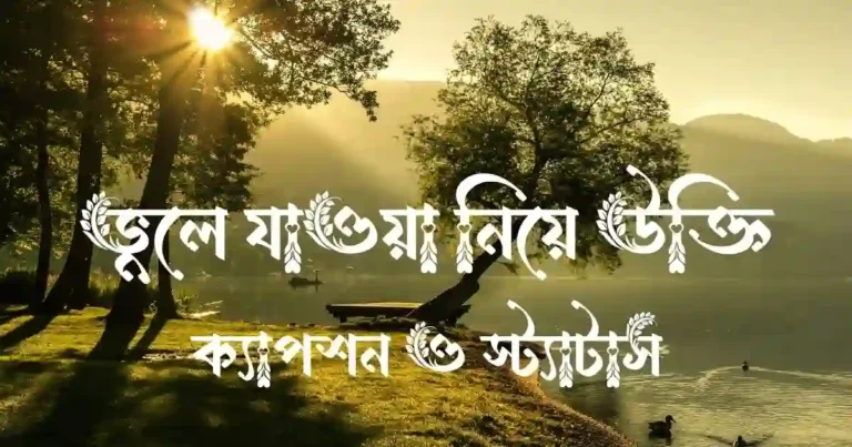 ভুলে যাওয়া নিয়ে উক্তি, ক্যাপশন ও স্ট্যাটাস