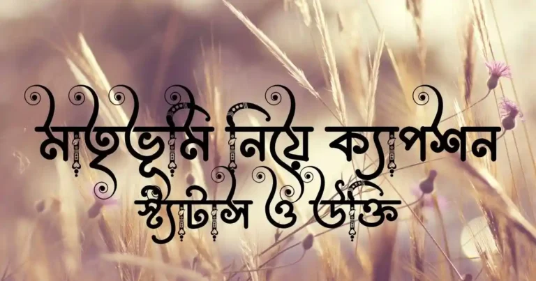 মাতৃভূমি নিয়ে ক্যাপশন, স্ট্যাটাস ও উক্তি